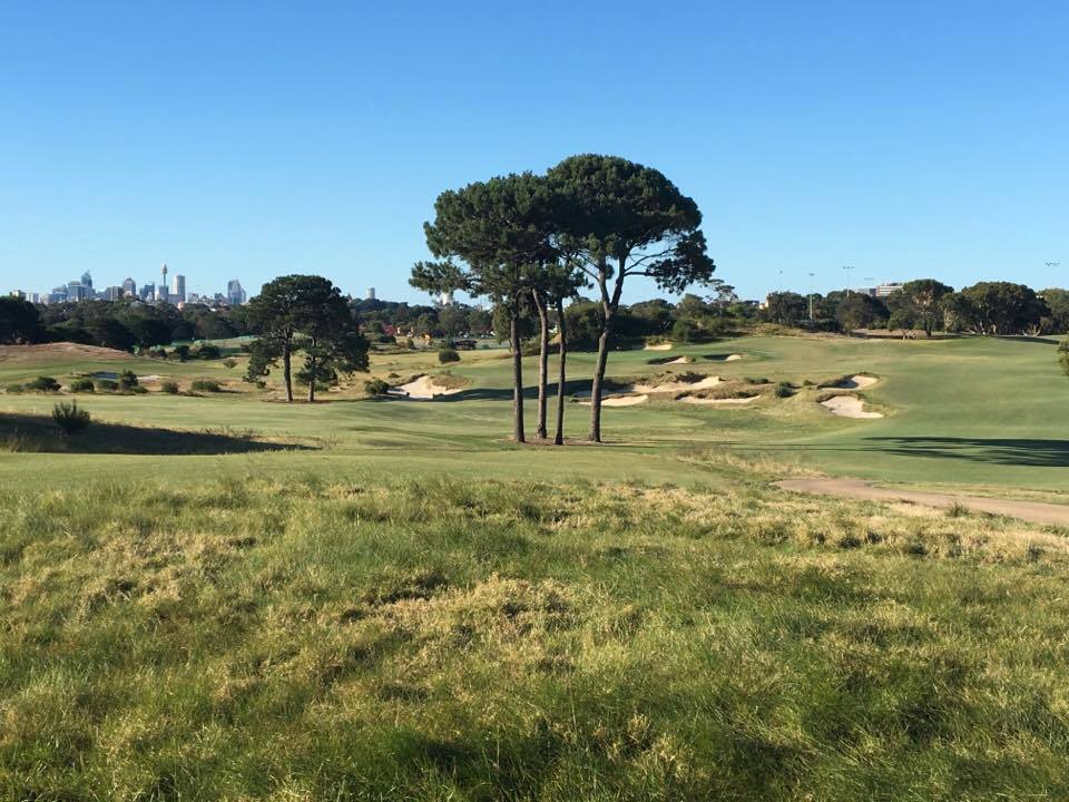 14958269_1136392919762760_2034783223_n